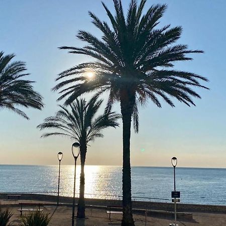 Fully Equipped Beachfront Studio In The Heart Of The City Center Bd Leclerc Antibes Kültér fotó